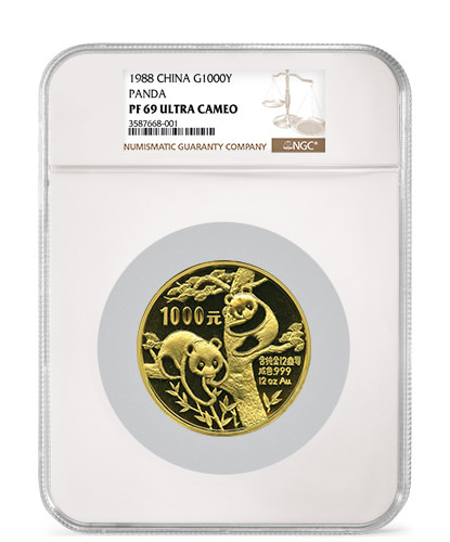 NGC Oversize Holder